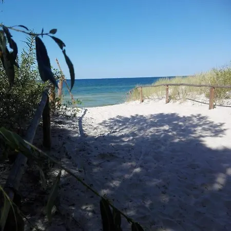 Domek W Brzozach Tatil Evi